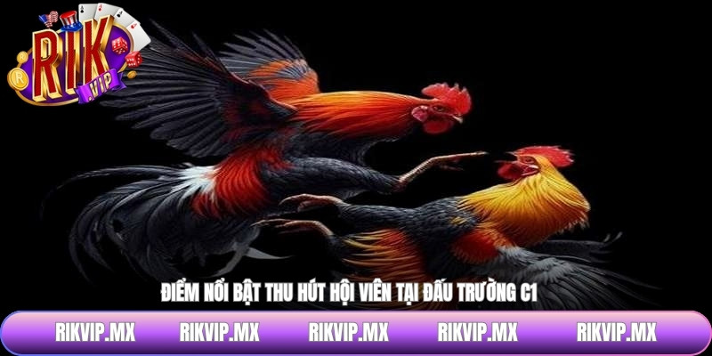 Điểm nổi bật thu hút hội viên tại đấu trường C1