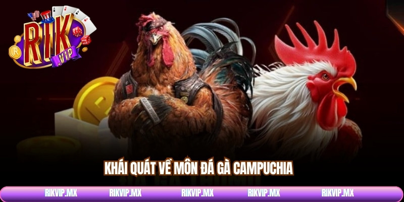 Khái quát về môn đá gà Campuchia 